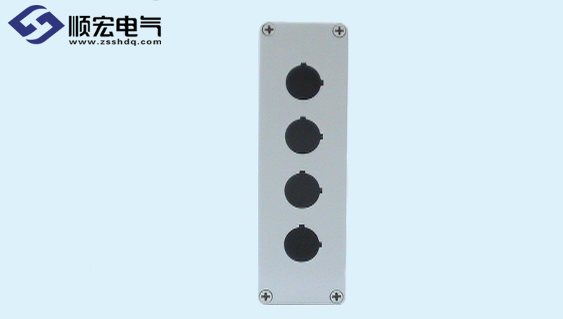 DS-OOO-0825-1(A4)-hole-type