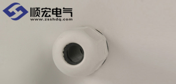 DS-PG-9(1)